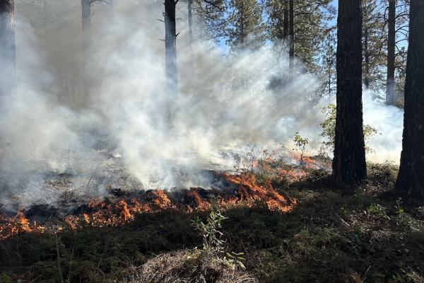 A LOCAL APPROACH THAT DELIVERS